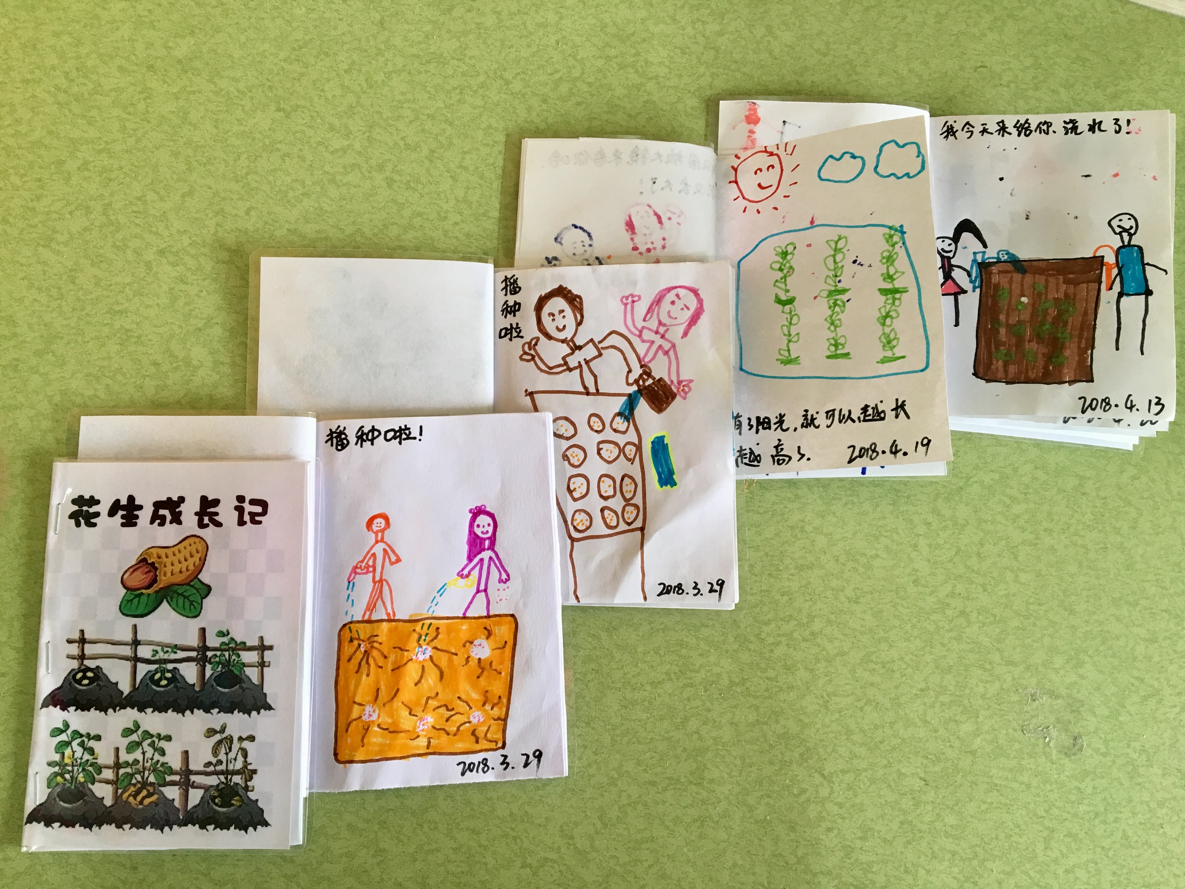 附属幼儿园开展幼儿花生义卖活动