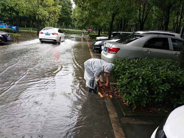 清除下水道排水周边杂物，以便排水通畅_副本.jpg