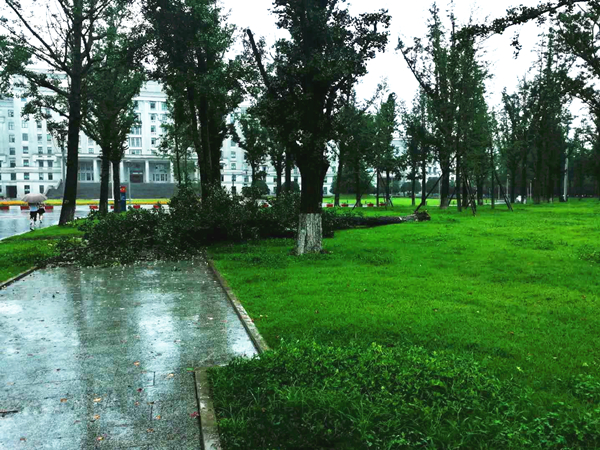 微信图片_20180705124827_副本.jpg