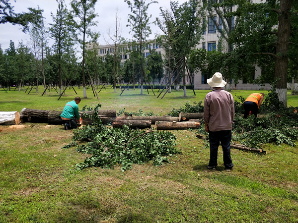 微信图片_20180705124729_副本.jpg