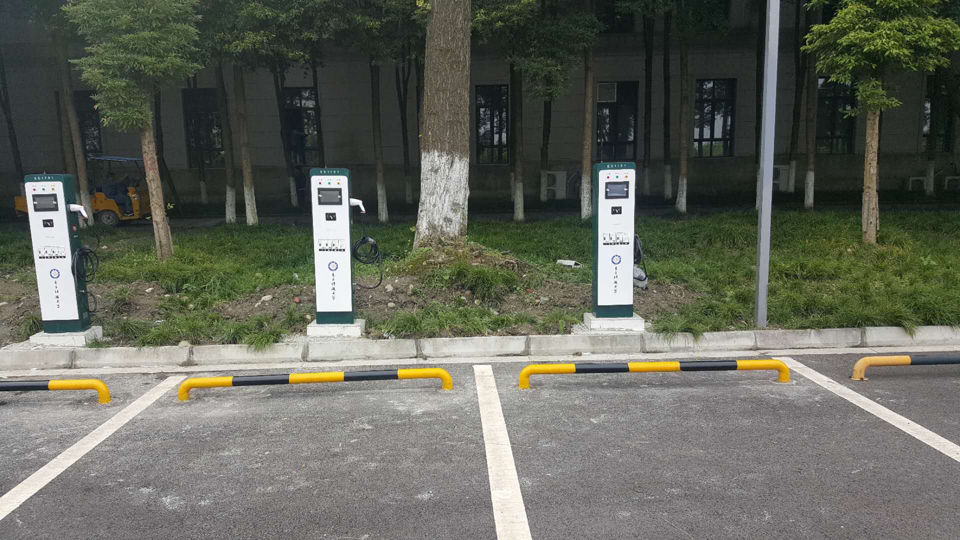 1533114558658086300.jpg
