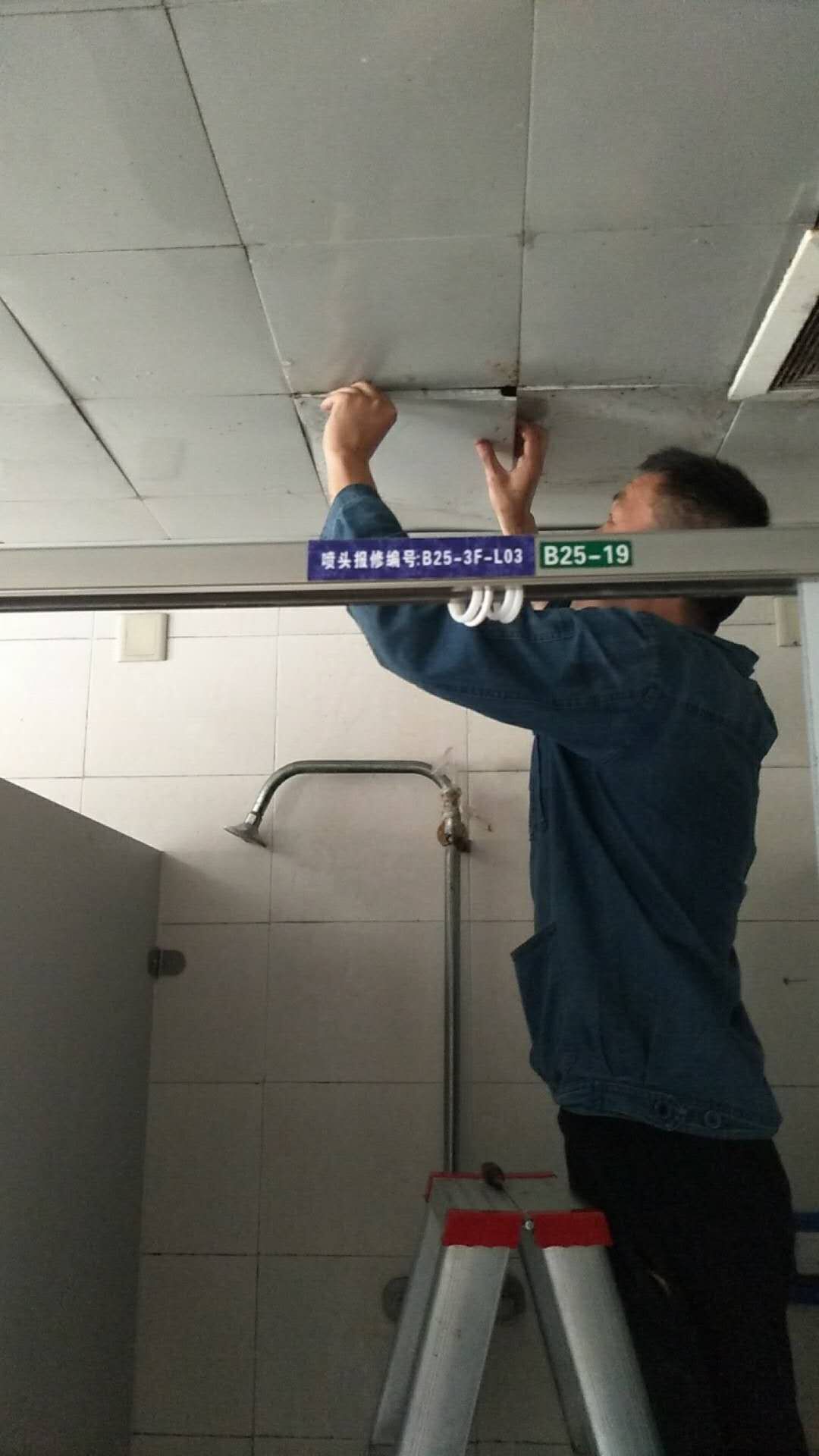 1535450754595008045.jpg