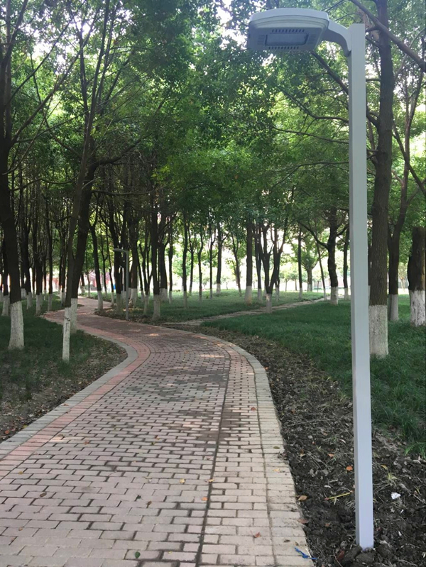 小径路灯安装_副本.jpg