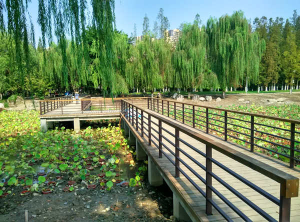 QQ图片20180829160922_副本.jpg