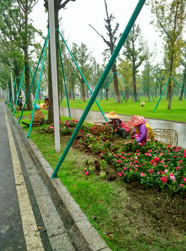 微信图片_20180923200502_副本.jpg