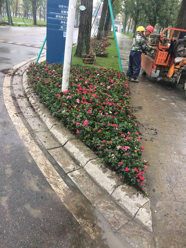 微信图片_20180923200430_副本.jpg