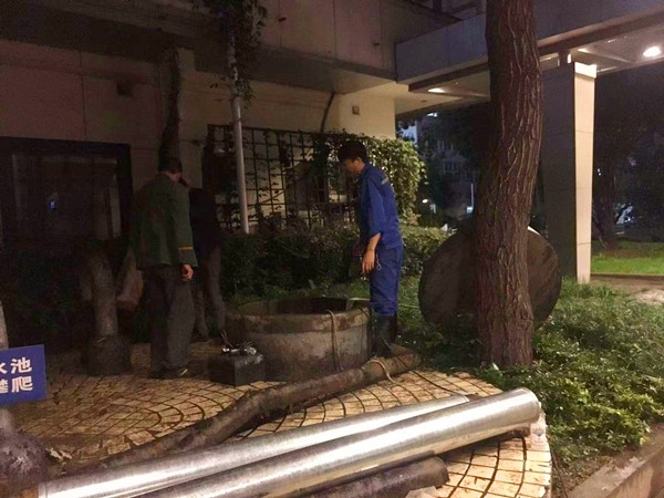 QQ图片20181129085349_副本.jpg