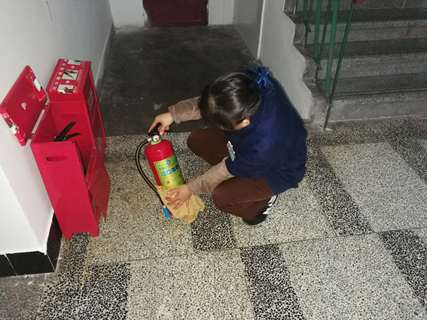 IMG_20181109_092936.jpg