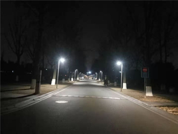 8增加路灯后的银杏大道更加明亮.jpg