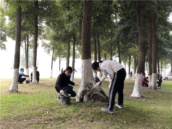 10同学们义务劳动给树木刷白.jpg