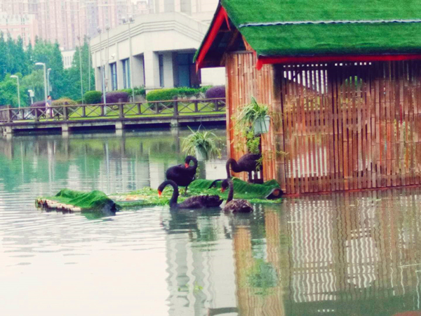 微信图片_20190619090227_副本.jpg