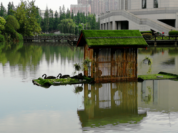 微信图片_20190618100130_副本.jpg