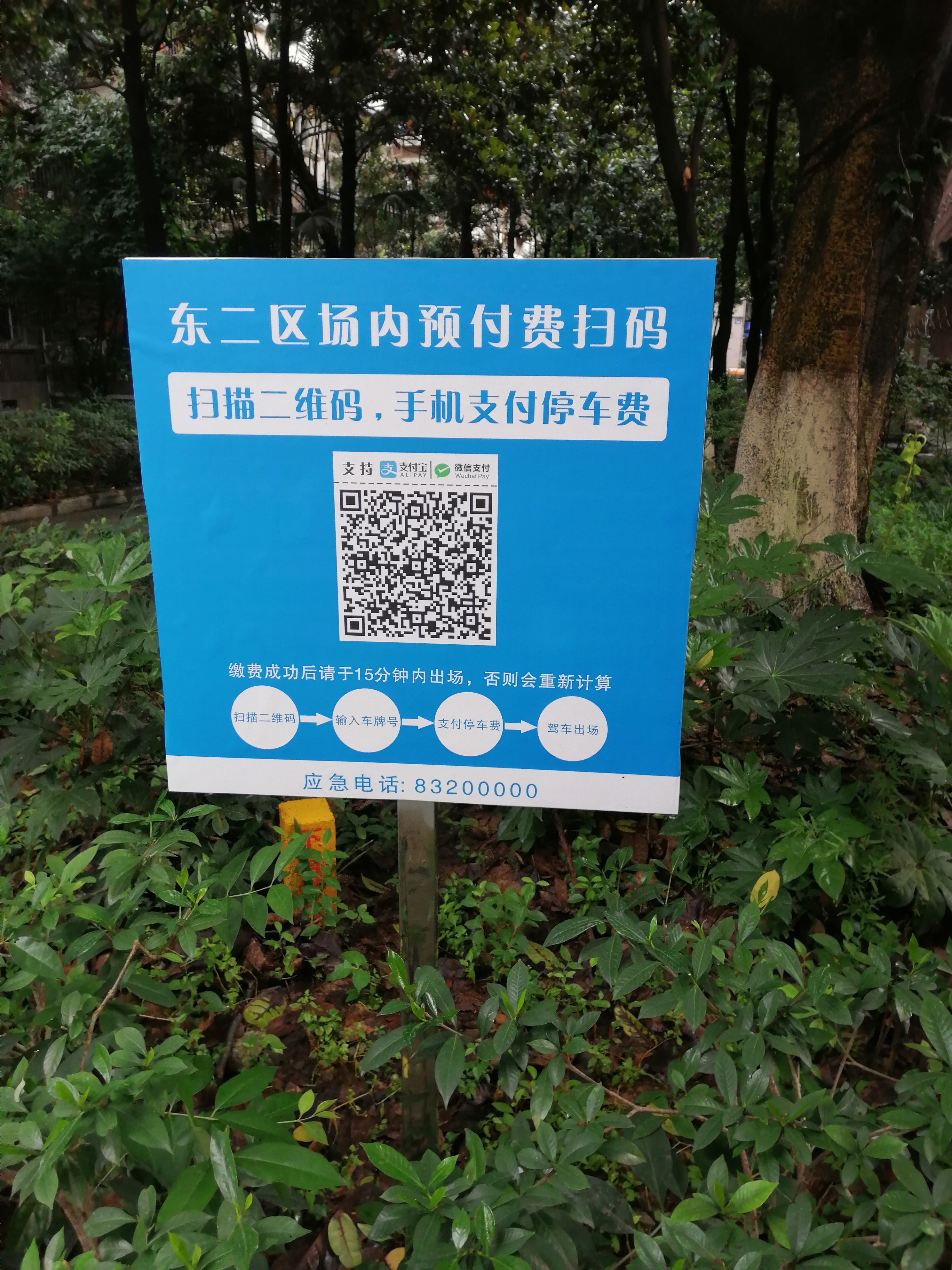 1563433987536005305.jpg