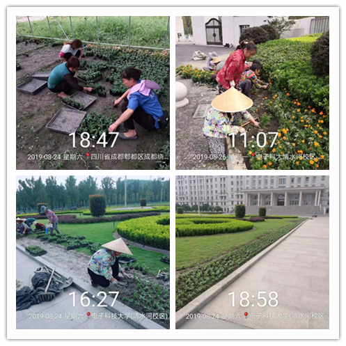 微信图片_20190829176789652748_副本.jpg