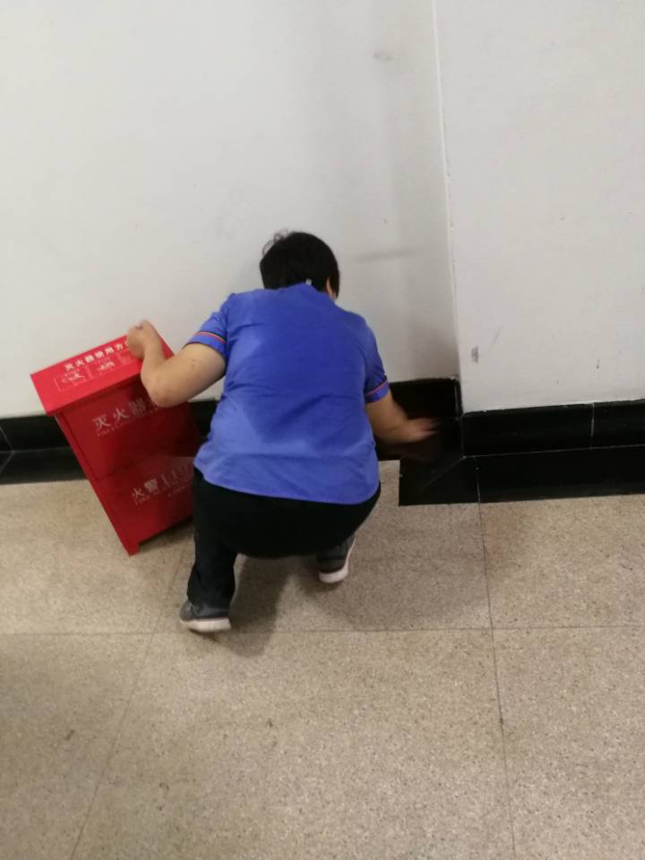 1567396039022062583.jpg