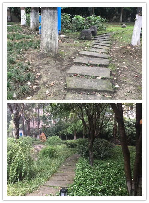 物电.jpg