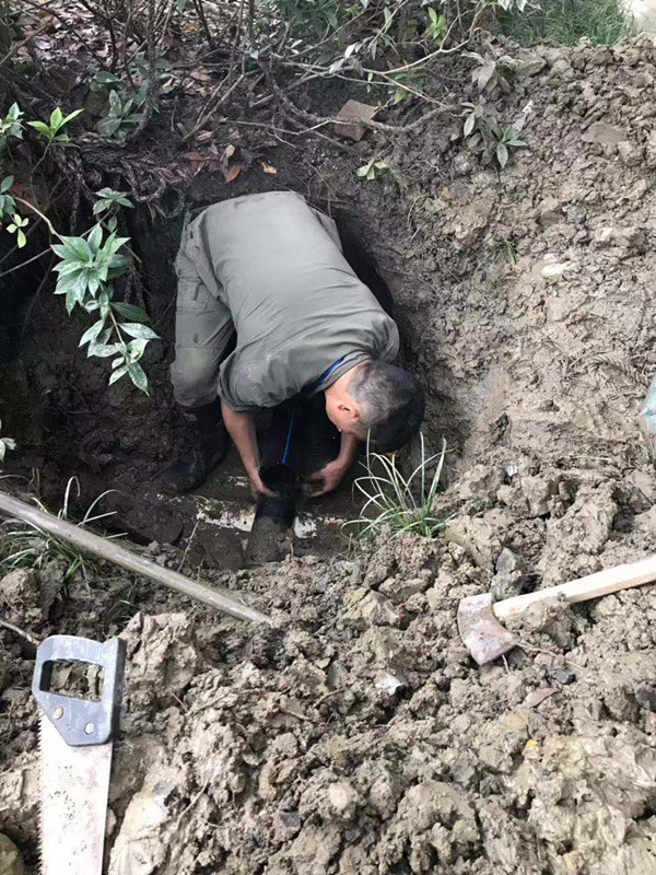 微信图片_20190930105619_副本.jpg