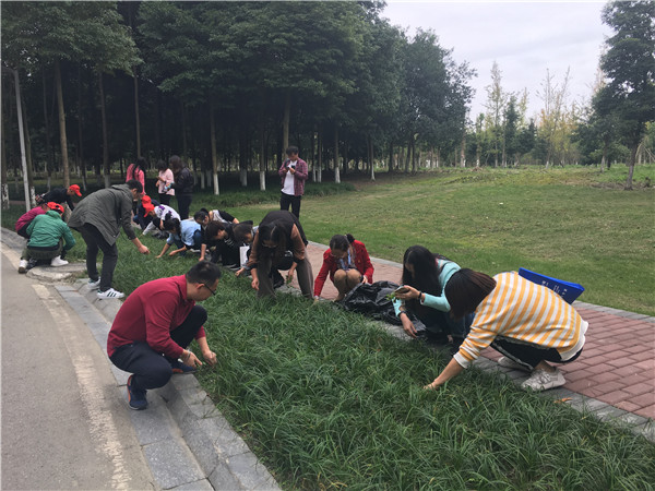 QQ图片20191009163303.jpg