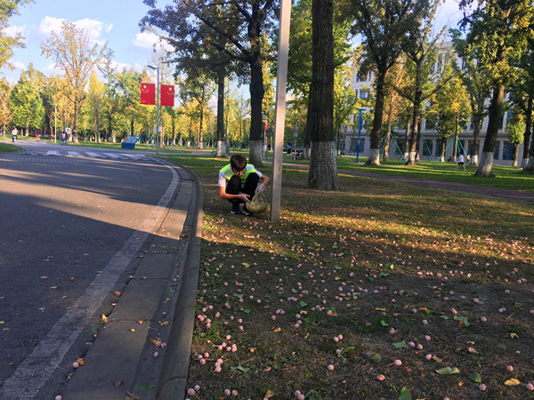 微信图片_20191018154411_副本.jpg
