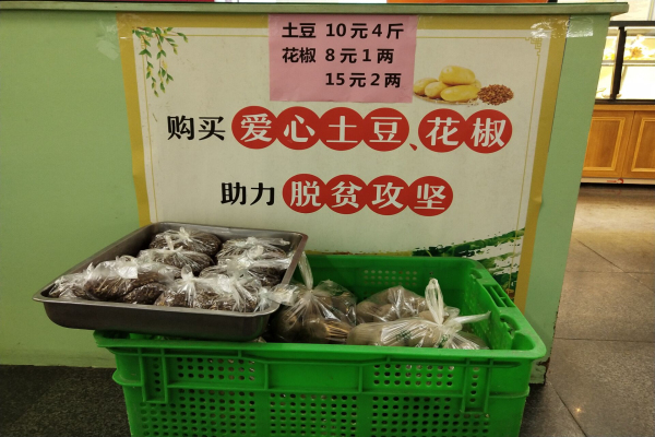 土豆1.jpg