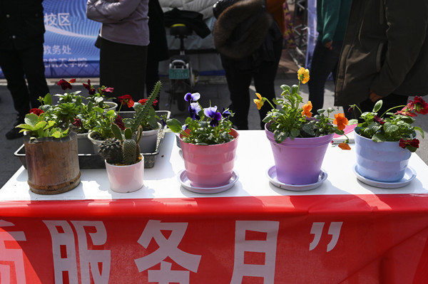 DSC_0767_1_副本.jpg