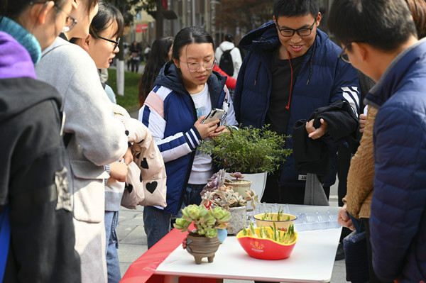 DSC_0645_1_副本.jpg