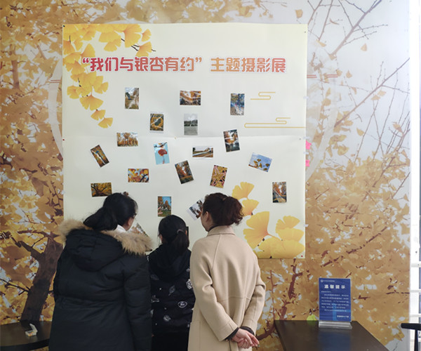银杏照上传2.jpg