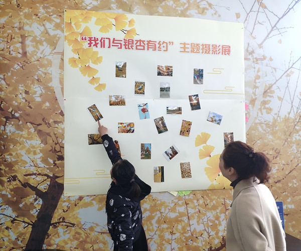 银杏照上传4.jpg