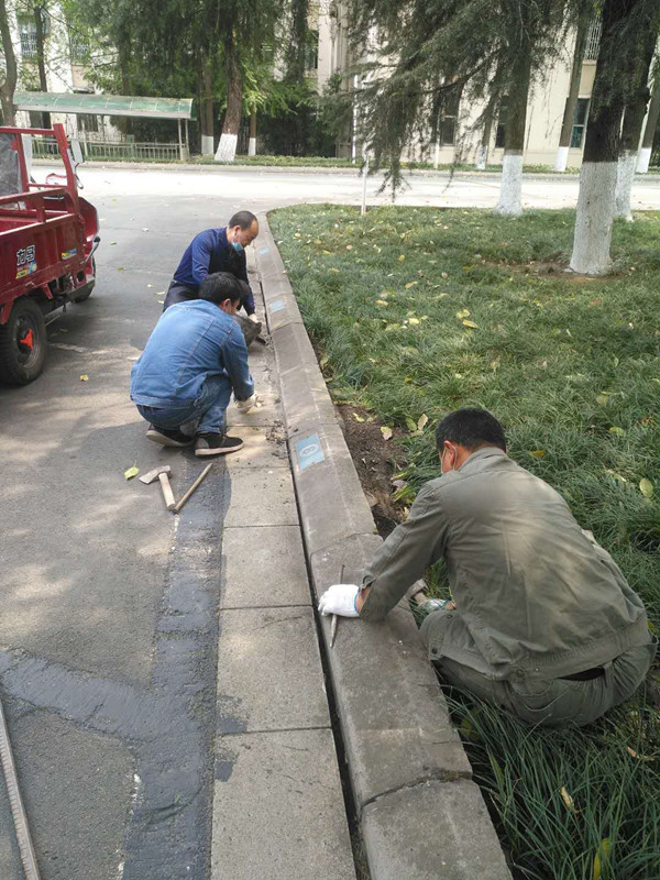 通信楼前路沿石维修_副本.jpg