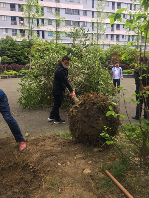 微信图片_202004241032521.jpg