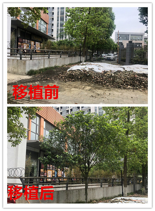 微信图片_202004241008122_副本.jpg