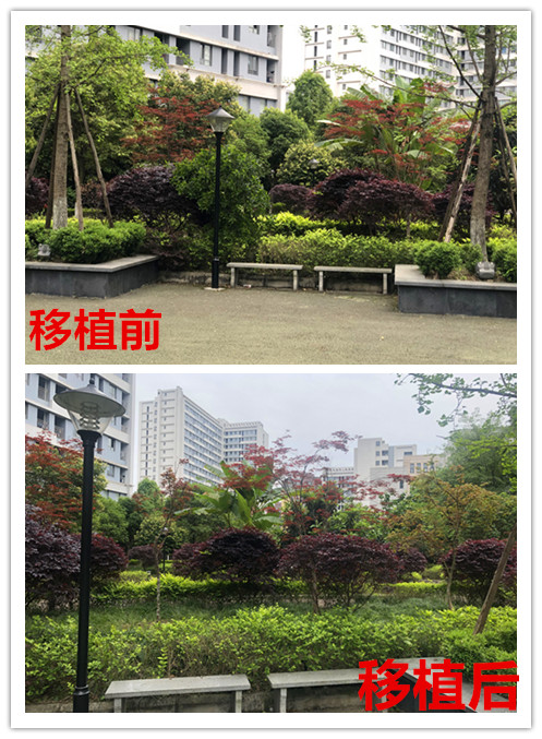 微信图片_202004241008123_副本.jpg