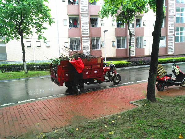 微信图片_20200812131337_副本.jpg