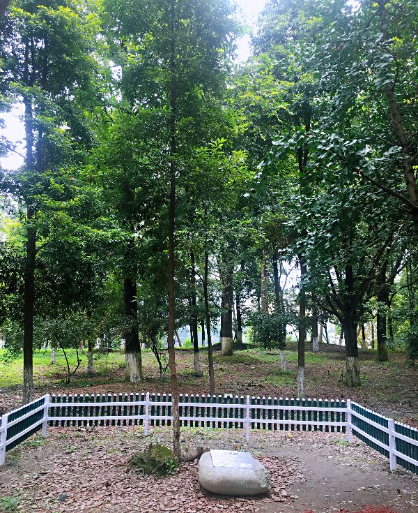 a1601450092897.jpg