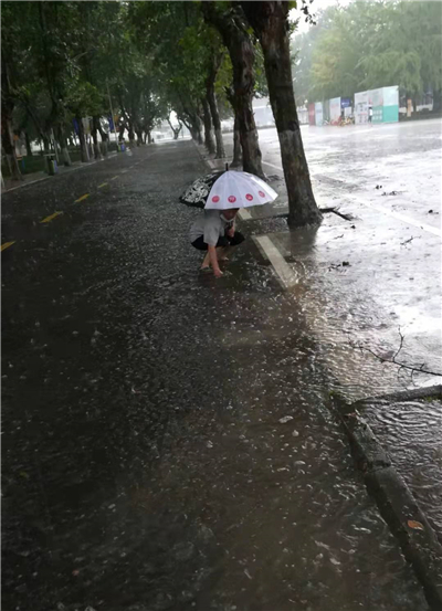 5-清理雨篦子_副本.jpg
