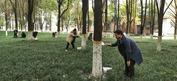 微信图片_20201130165328_副本.jpg