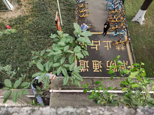 微信图片_20210507101947.jpg