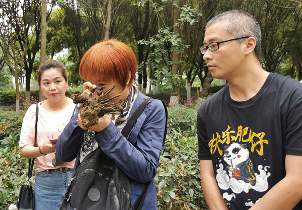 微信图片_20210510141938_副本.jpg