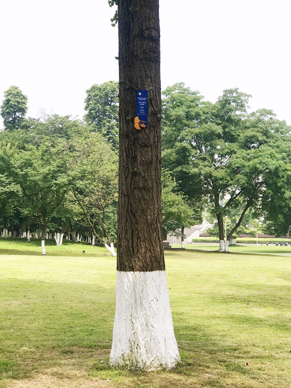 微信图片_20210527114259_副本.jpg