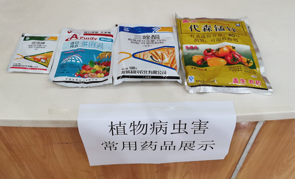 微信图片_20210621143046_副本.jpg