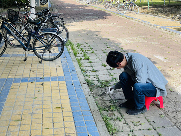 2 去除路面杂草.jpg