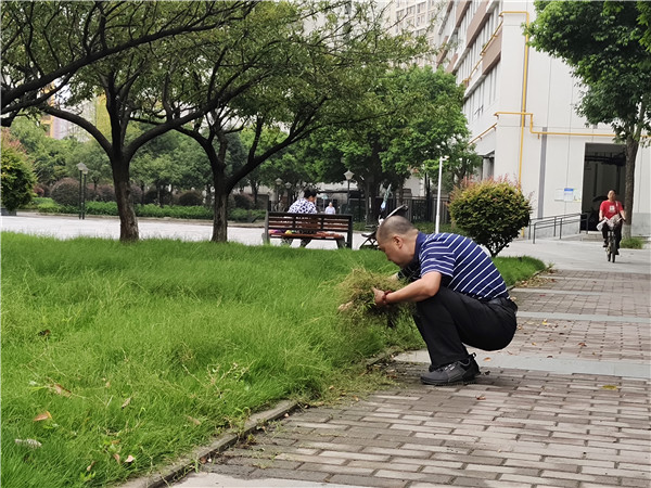 图1.jpg