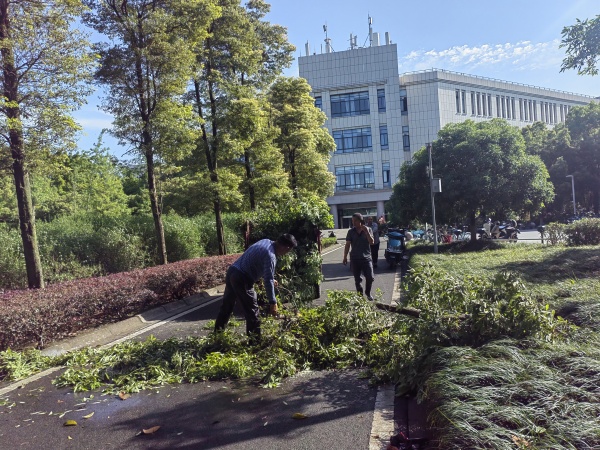 微信图片_20250506103836_副本.jpg